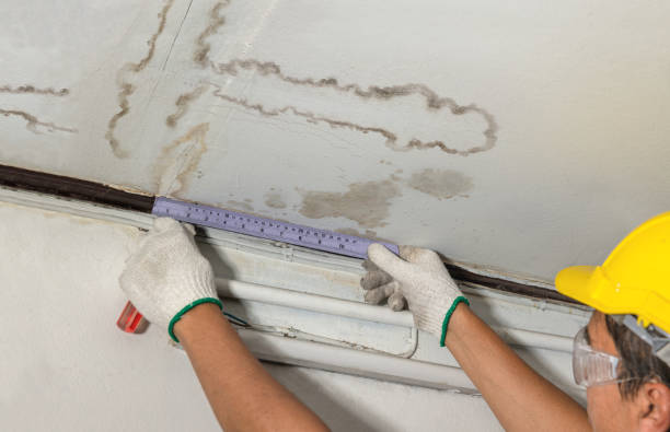 Reliable Water Damage contractor in Royse City, TX by Water Damage Irwin